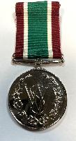 Women's Volunteer Service Medal 