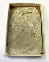 British General Service Medal Palestine Highland Light Infantry