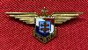 WW2 Free French(F.A.F.L.) Air Force Wings