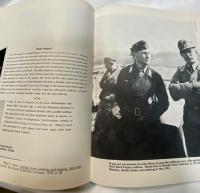 Uniforms Organisation and History Of The Panzertruppe