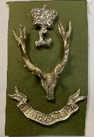 Seaforth Highlanders Officer's Cap Badge