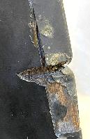 WW2 British Fleet Air Arm Supermarine Seafire Mk XV Propellar Blade