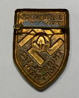 WW2 German R.A.D. 1934 Thingplatz Northeim Badge
