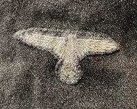 Replica WW2 German Waffen SS Panzer Tunic And Cap