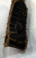 Replica WW2 German Helmet Chinstrap