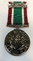 Women's Volunteer Service Medal 