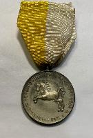 WW2 German Hannover Fire Brigade Merit Medal