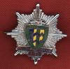Cumbria Fire Service Badge