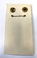 US Vietnam Service Medal