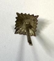 WW2 German Army/Waffen SS NCO/Officer Rank Pip