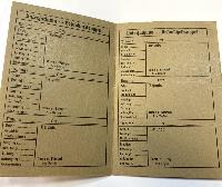 WW2 German Hitlerjugend Gehundheitspass