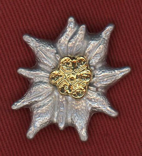 Replica WW2 German Officers Gebirgsjager Edelweiss Badge