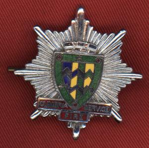 Cumbria Fire Service Badge
